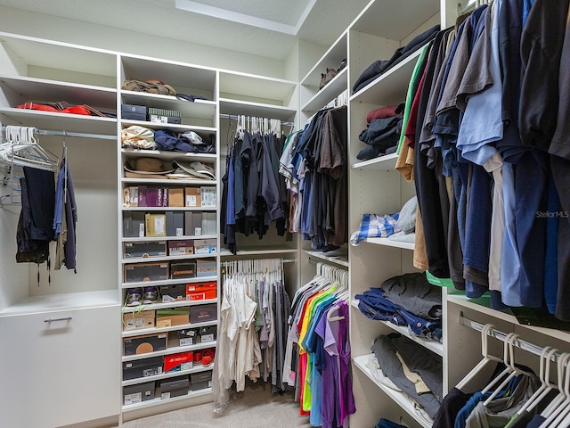 walk in closet featuring carpet