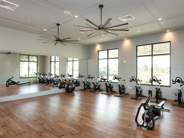 exercise room with ceiling fan and hardwood / wood-style floors