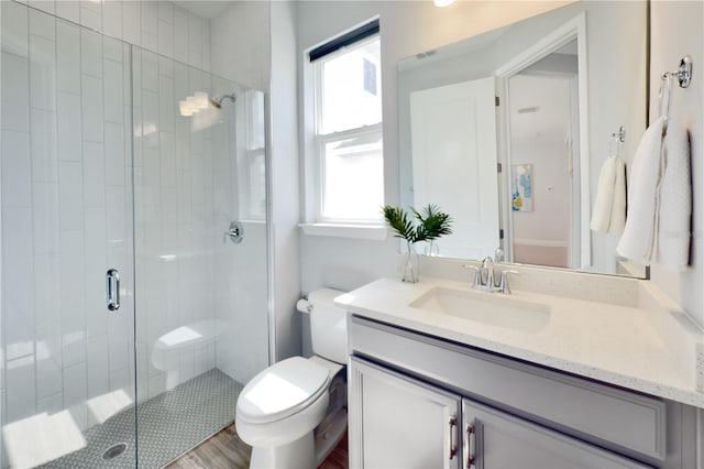 bathroom with vanity, toilet, a healthy amount of sunlight, and a shower with shower door