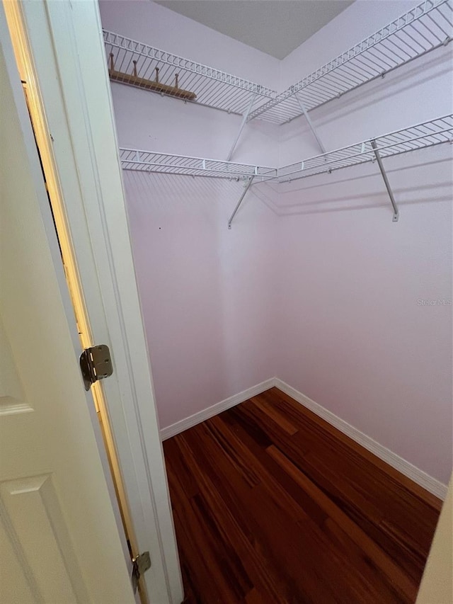 spacious closet featuring wood-type flooring