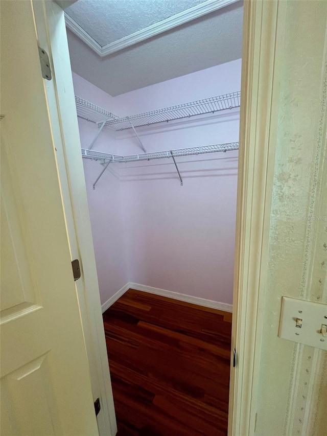 walk in closet featuring hardwood / wood-style flooring