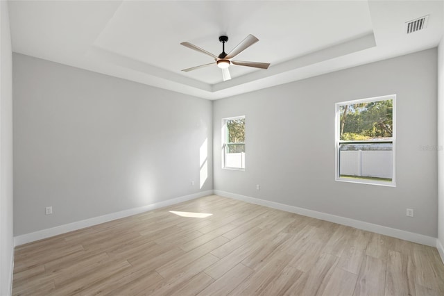 spare room featuring a wealth of natural light, light wood-type flooring, and a raised ceiling