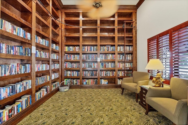 living area featuring carpet flooring