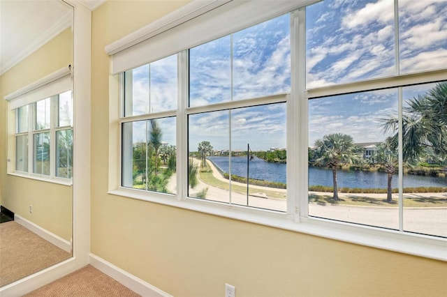 room details featuring ornamental molding, carpet flooring, and a water view