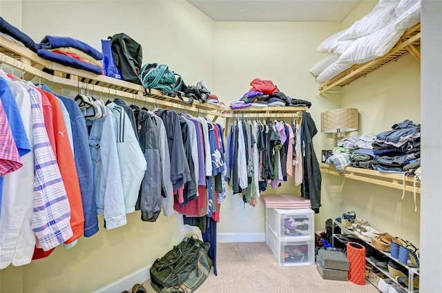 spacious closet featuring carpet floors