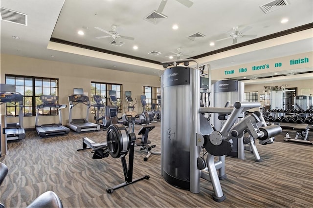 gym with a tray ceiling, ceiling fan, and carpet floors