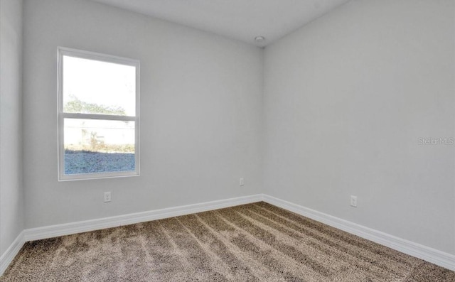 empty room featuring carpet