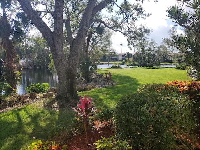 view of yard with a water view