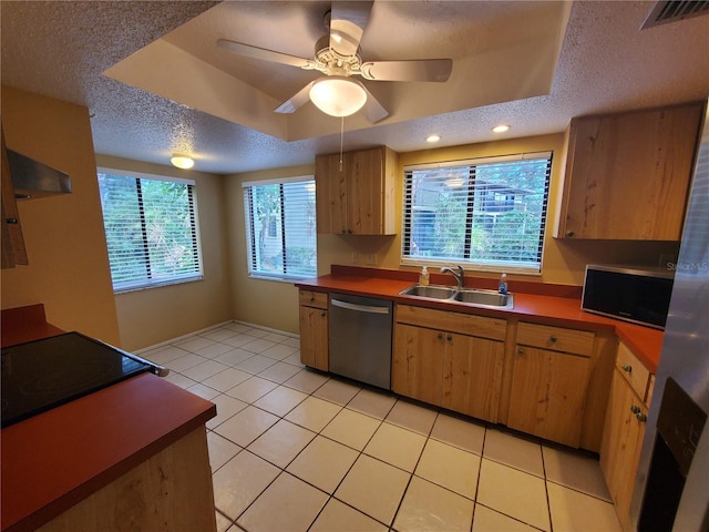 kitchen featuring a raised ceiling, stainless steel dishwasher, plenty of natural light, and sink