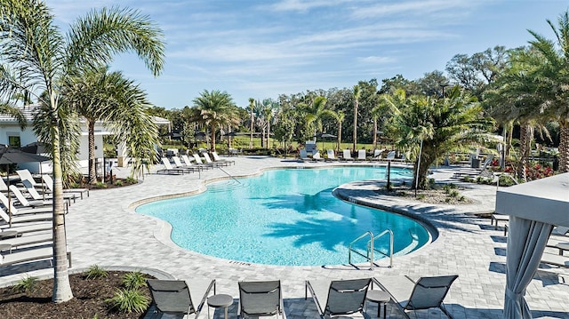 view of swimming pool with a patio