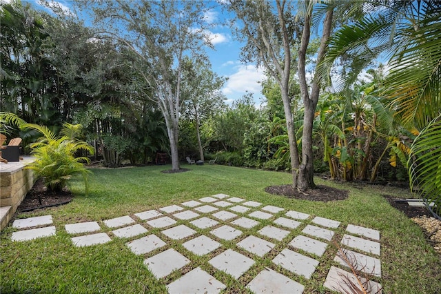 view of yard featuring a patio area