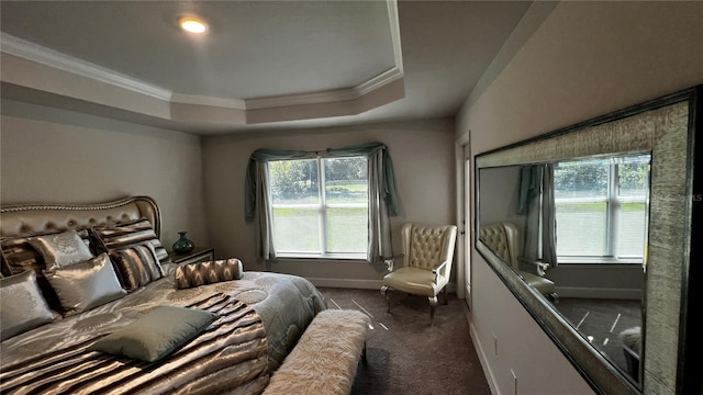 carpeted bedroom with crown molding and a raised ceiling