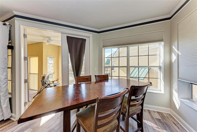 dining space with ceiling fan, crown molding, and light hardwood / wood-style flooring