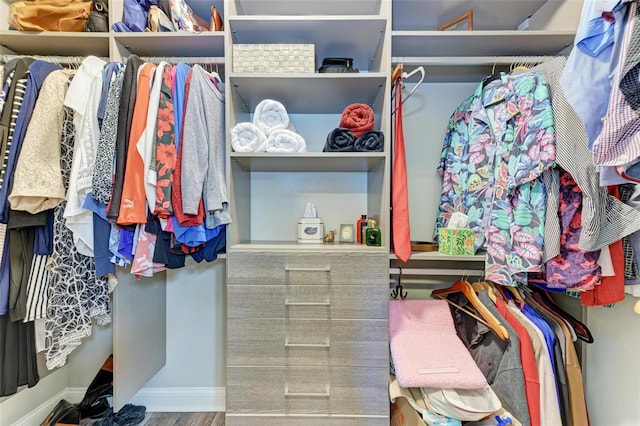 spacious closet featuring hardwood / wood-style flooring