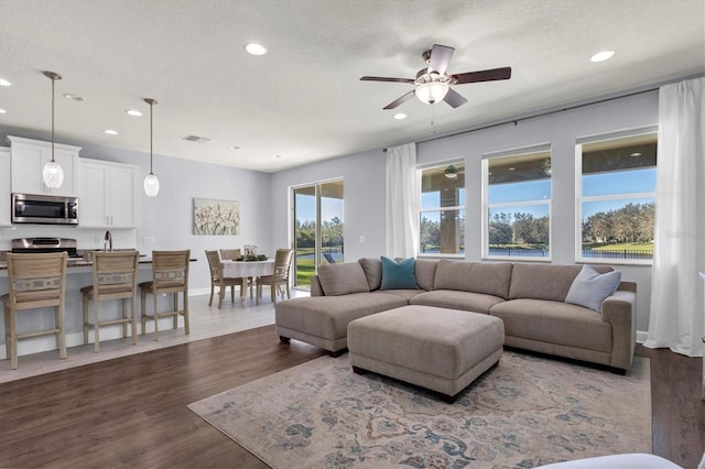 living room with dark hardwood / wood-style floors and a textured ceiling