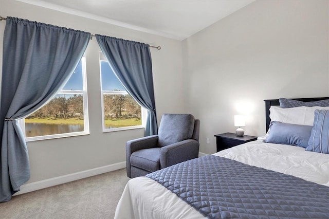 carpeted bedroom with a water view