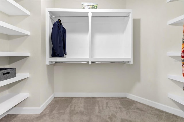 walk in closet with light colored carpet