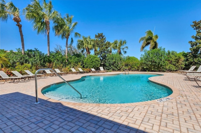 view of swimming pool featuring a patio