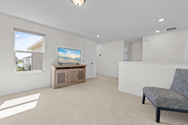 sitting room featuring a textured ceiling and light colored carpet