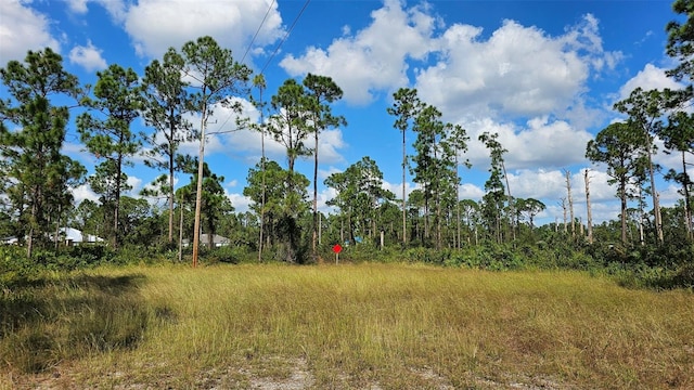 815 Tuba Ct, Lehigh Acres FL, 33974 land for sale