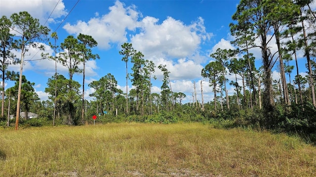 Listing photo 2 for 815 Tuba Ct, Lehigh Acres FL 33974