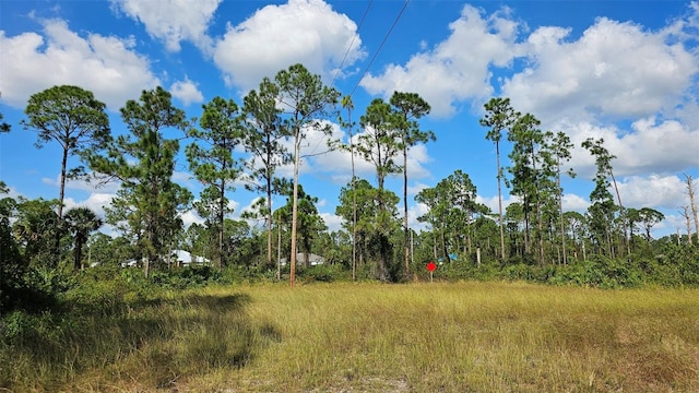 Listing photo 3 for 815 Tuba Ct, Lehigh Acres FL 33974