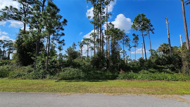 812 Pinecastle Dr, Lehigh Acres FL, 33974 land for sale