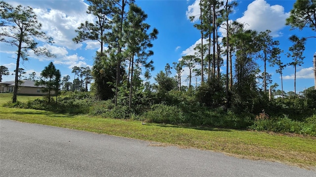 Listing photo 2 for 812 Pinecastle Dr, Lehigh Acres FL 33974