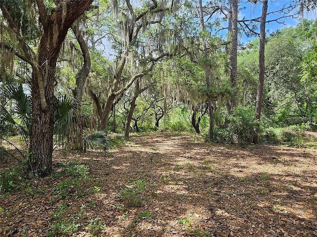 Listing photo 3 for Ne 101st Terrace Road, Fort Mc Coy FL 32134