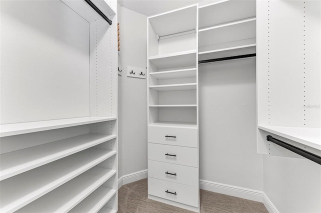 1269 Backspin Dr, Englewood, FL 34223 - spacious closet featuring carpet floors