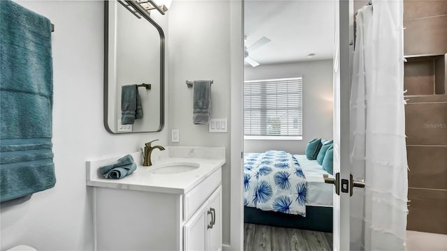 bathroom featuring hardwood / wood-style floors and vanity