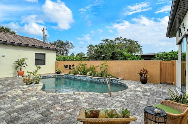 view of pool featuring a patio area