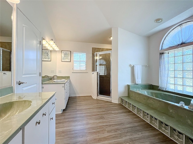 full bath with a sink, two vanities, wood finished floors, and a stall shower