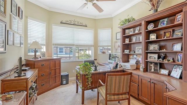 carpeted office featuring crown molding and ceiling fan