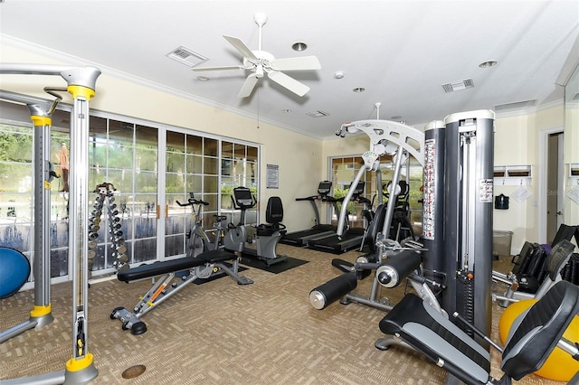 exercise room with ornamental molding, carpet, and ceiling fan