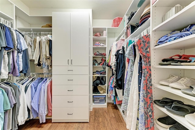 spacious closet featuring light hardwood / wood-style flooring