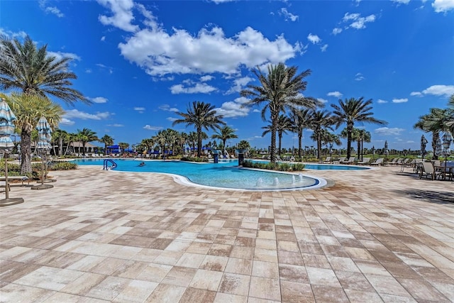 view of swimming pool with a patio area