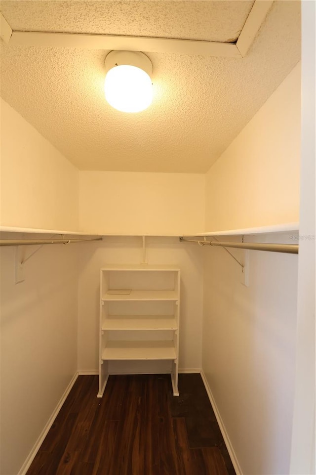 4105 33rd Avenue Dr W Unit 4105, Bradenton, FL 34205 - spacious closet with dark wood-type flooring