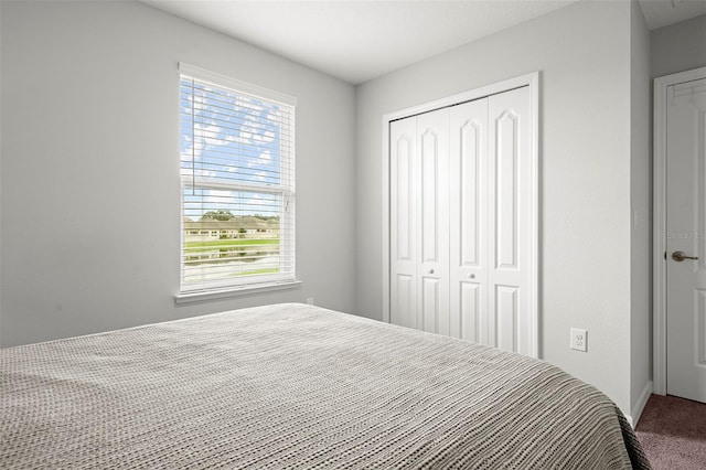 bedroom with a closet, multiple windows, and carpet floors