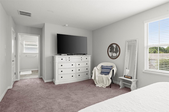 bedroom featuring multiple windows, a textured ceiling, ensuite bath, and light colored carpet