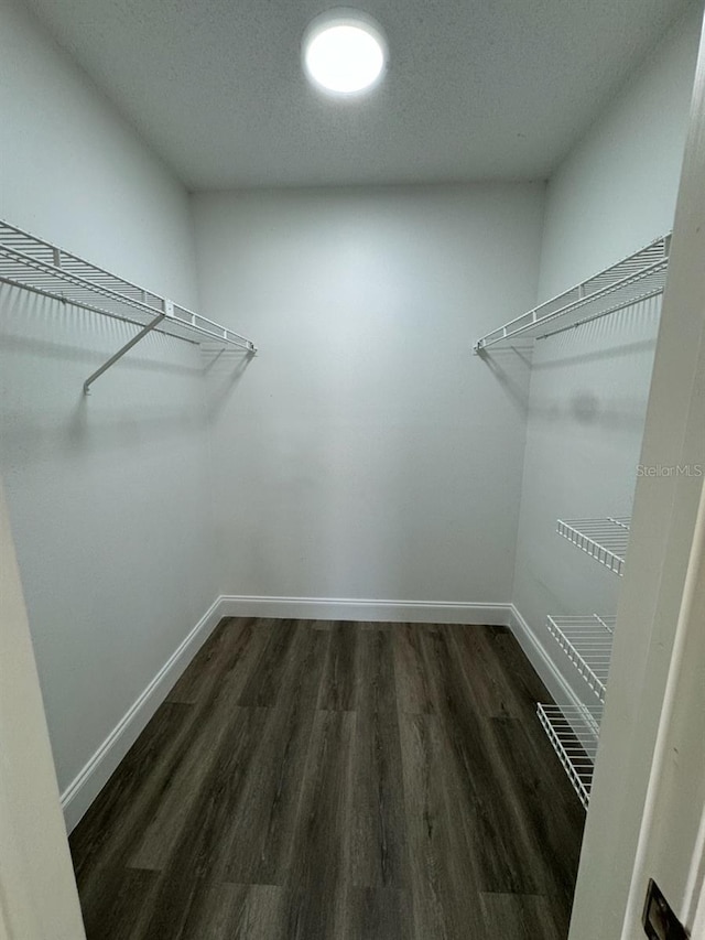 walk in closet featuring dark hardwood / wood-style flooring