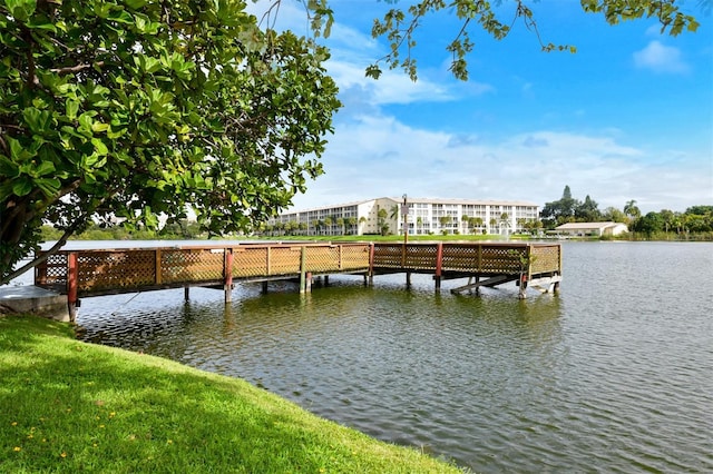 dock area with a water view