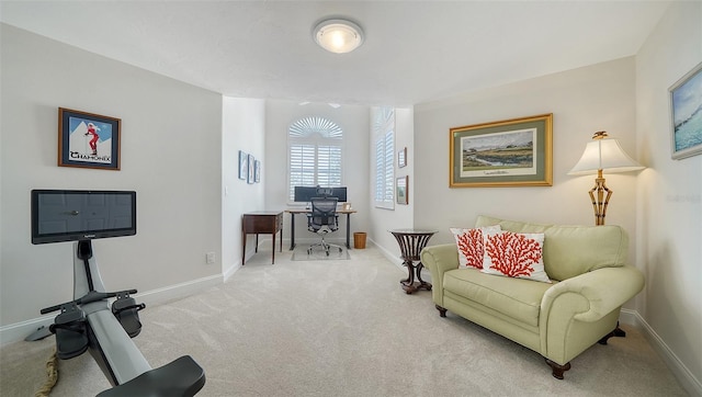 interior space featuring baseboards and carpet floors