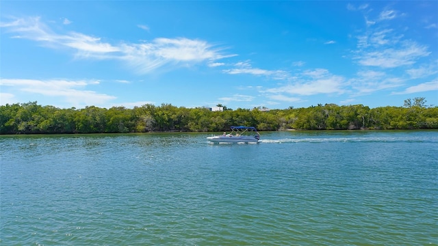 property view of water featuring a forest view