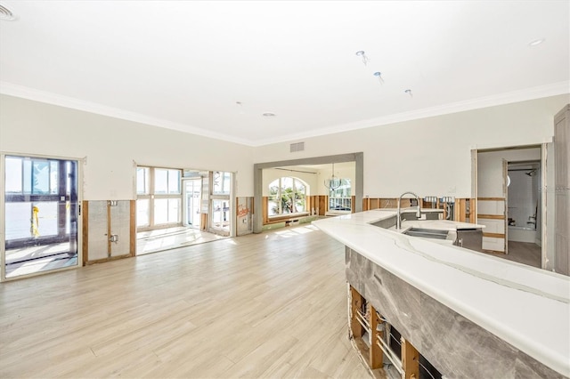 kitchen with light hardwood / wood-style floors, ornamental molding, and sink