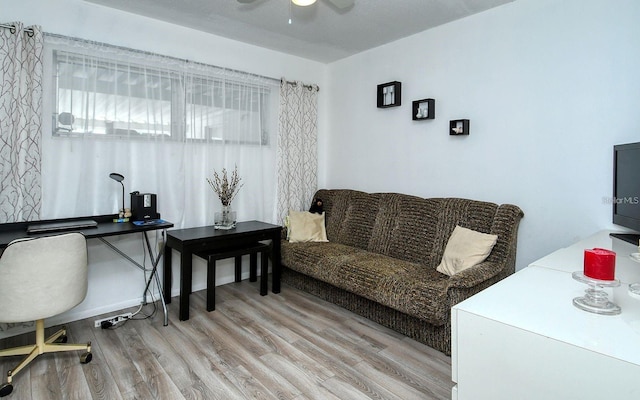 office area featuring ceiling fan and light wood-type flooring