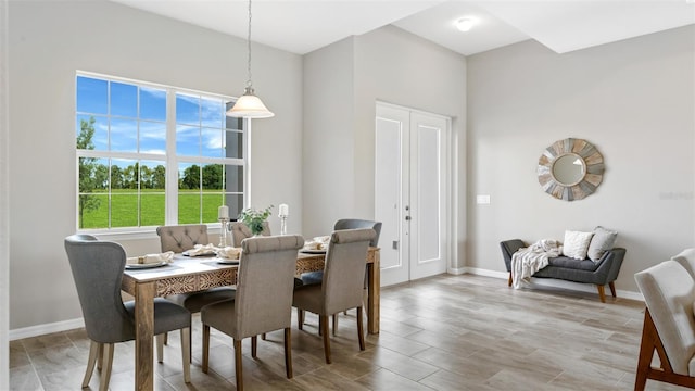 dining area with light hardwood / wood-style floors