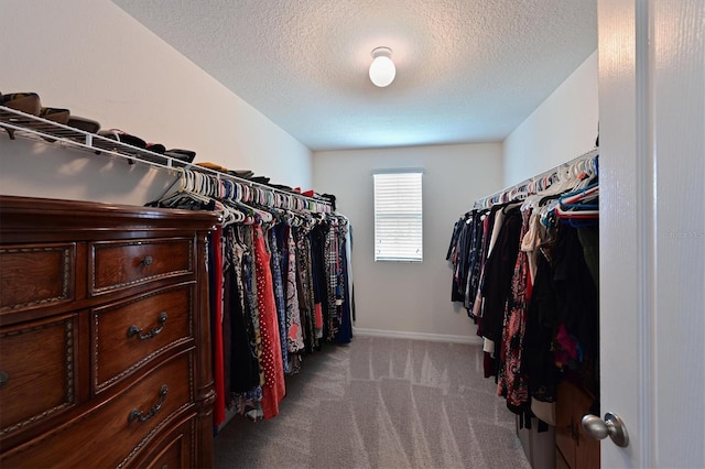 walk in closet with light colored carpet