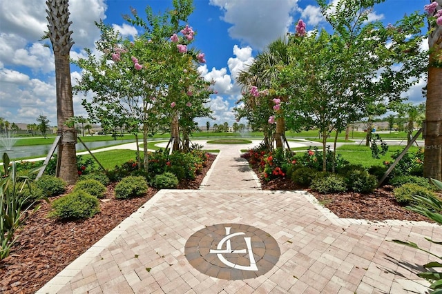 view of community featuring a water view and a yard