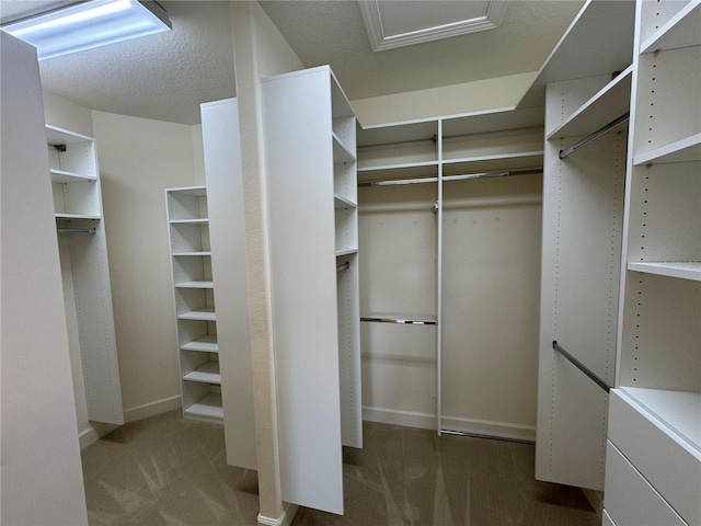 spacious closet with carpet flooring